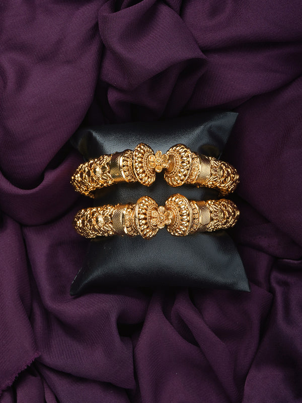 Luxe Rajwada Bangles (Gold Polish)