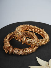 Luxe Rajwada Bangles (Gold Polish)